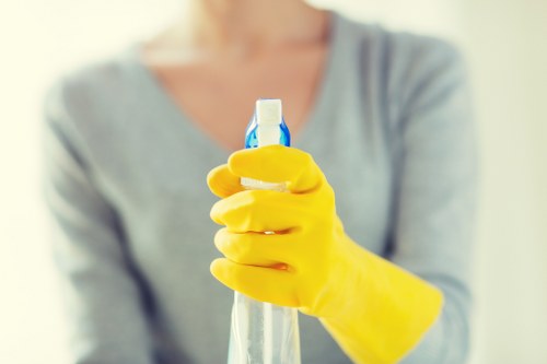 Removing pet stains and lingering smells from upholstery in Lampton