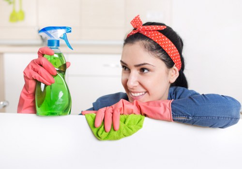 Common household stains and cleaning supplies for Lampton properties